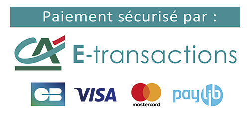 ca e transactions cb visa mastercard